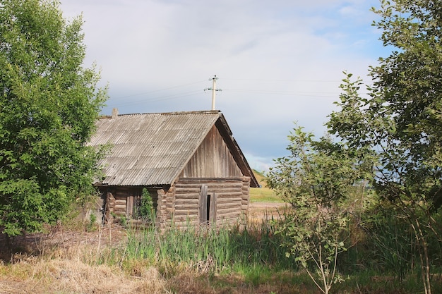 Casa no campo com juncos