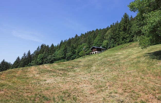 Casa no fundo da floresta nos Alpes suíços