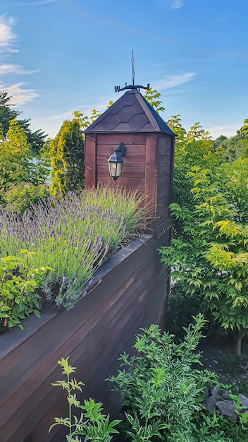 Casa no fundo da paisagem de verão do céu azul da natureza Planta verde e rio