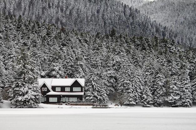 Casa no lago perto do Lago Golcuk em Bolu Turquia