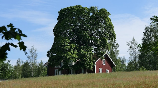 Foto casa no meio das árvores no campo contra o céu