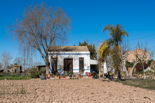 Casa no pomar valenciano