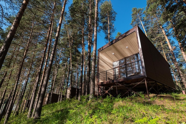 Casa ou hotel com janelas panorâmicas na floresta de pinheiros bela manhã de verão com luz solar natural