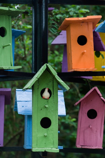 Foto casa del pájaro del pueblo