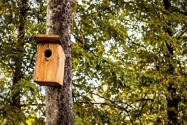 Casa para pájaros en un árbol en el parque.