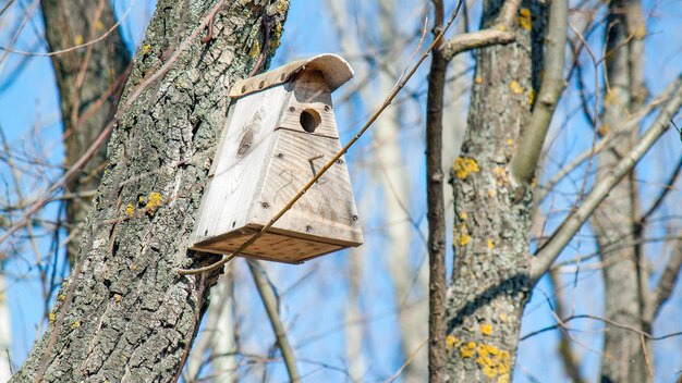 Foto casa de pájaros colgada en un árbol