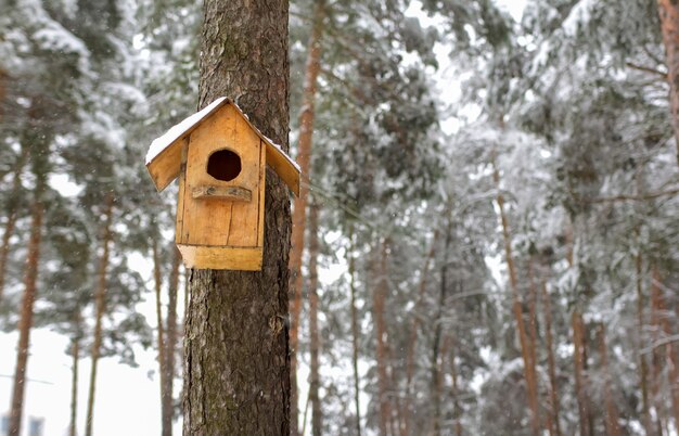 Una casa de pájaros cuelga de un tronco de árbol en el bosque de invierno