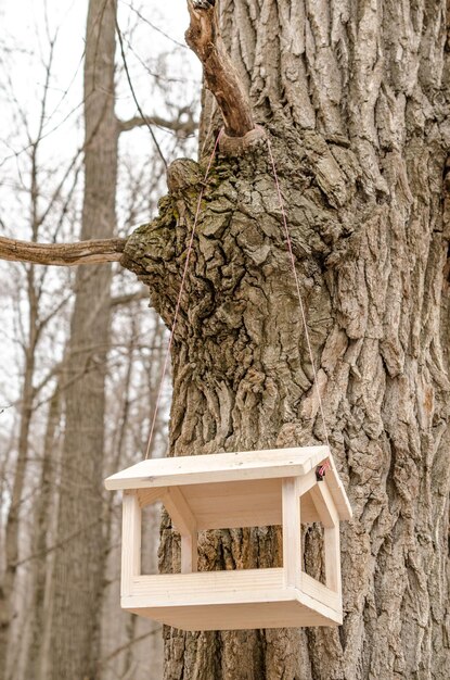 Casa de pájaros hecha a mano colgando de un tronco de árbol