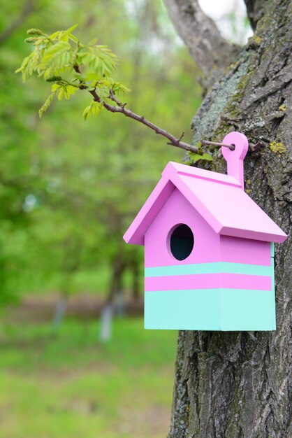 Casa de pájaros en el jardín al aire libre