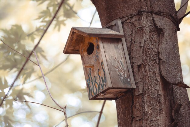 Una casa de pájaros de madera atornillada a un árbol en un parque con alambre Día de Protección de los Animales Cuidado ambiental