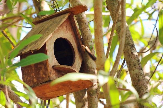 Casa de pájaros de madera, nido en el árbol.