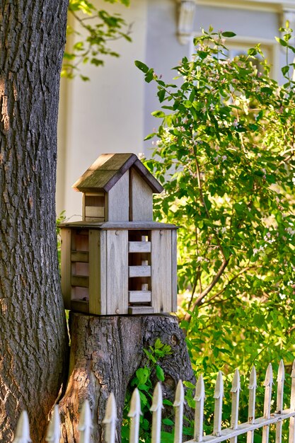 Casa para pájaros de varios pisos en el tocón de un árbol en el parque, comedero para pájaros