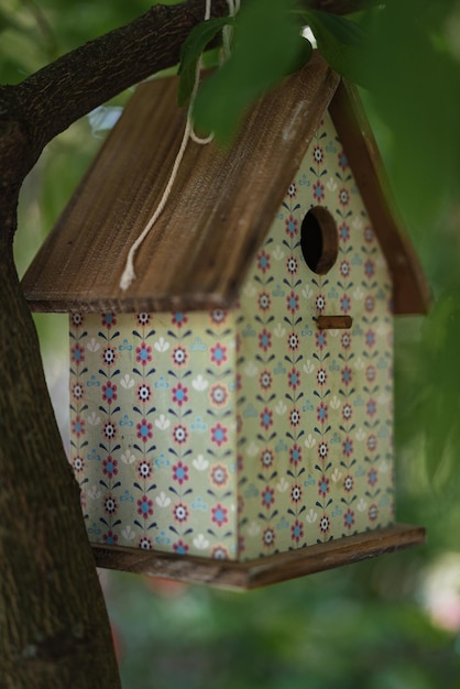 Foto casa de pájaros