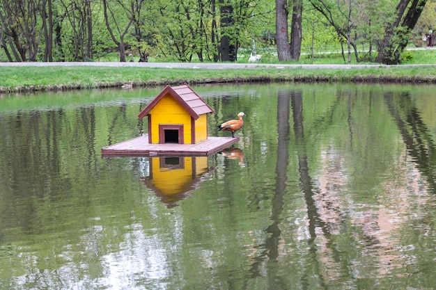 Casa de patos y pato en el estanque