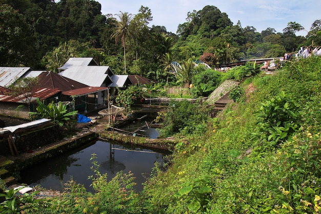 La casa en el pequeño pueblo de Indonesia.