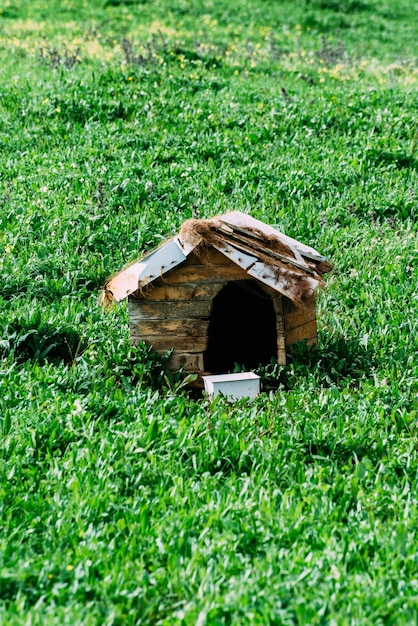 Casa de perro de madera en la hierba