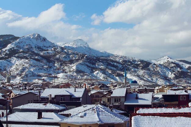 casa con pinos nevados en invierno