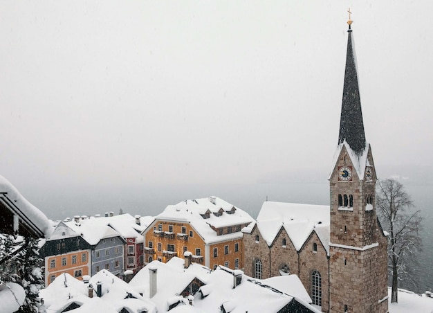 casa con pinos nevados en invierno