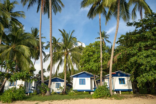 Casa en la playa cerca de palmeras con vistas a la playa de arena