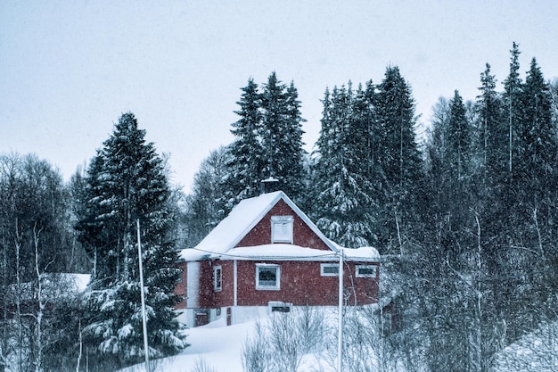 Casa roja cubierta de nieve en un bosque de pinos en invierno en Scandinavian