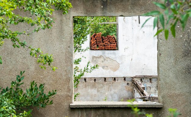 casa en ruinas en el bosque