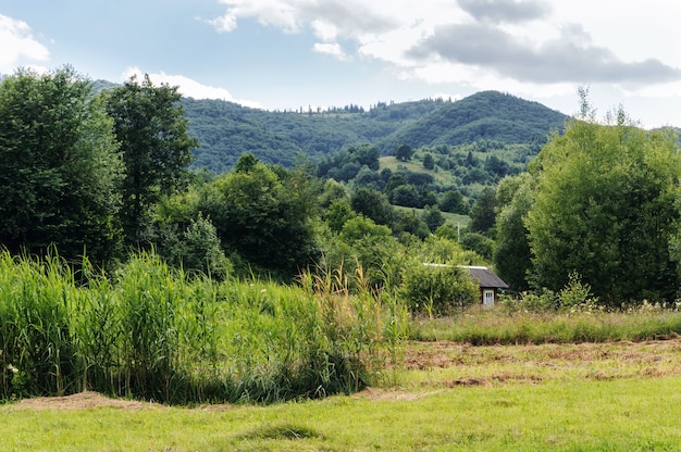 Casa rural entre árvores com montanhas arborizadas