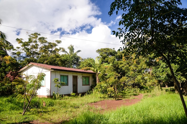 Casa rural rodeada de vegetación en las afueras de Hanga Roa Isla de Pascua Chile