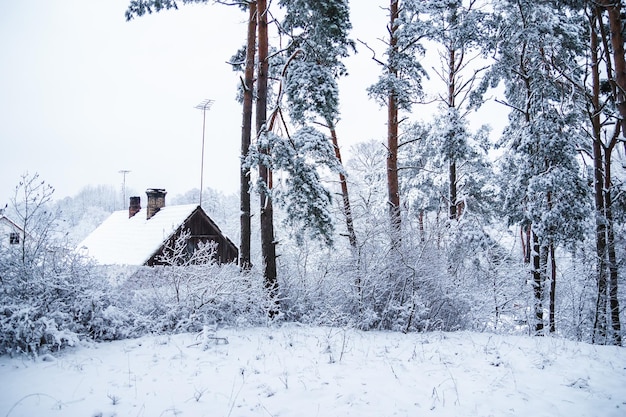 Casa rústica de madera en el bosque cubierto de nieve Paisaje de invierno Árboles cubiertos de nieve con escarcha Cuento de hadas de invierno