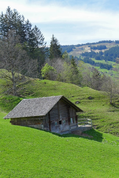 Casa sobre la hierba verde con fondo de árboles y montañas