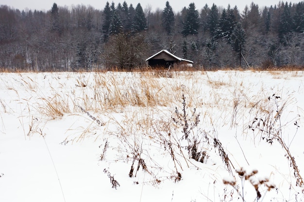 Casa solitaria en el bosque en invierno