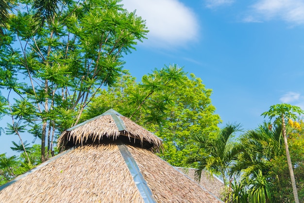 Casa con techo de paja y un jardín verde