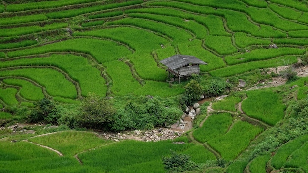 Casa en terraza de arroz en la montaña en el distrito de Mae Chaem, provincia de Chiang Mai.