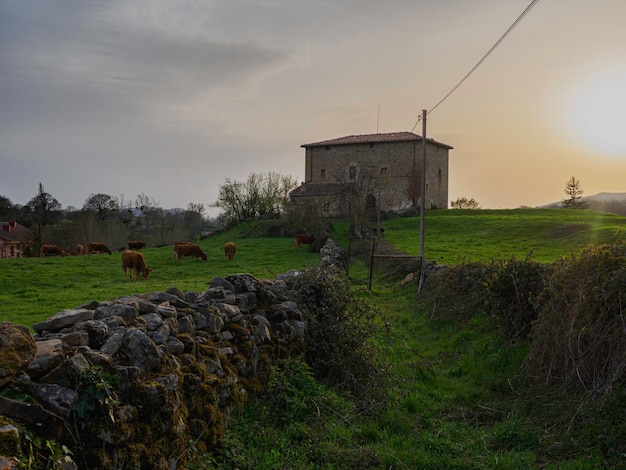 Casa típica de Cantabria con vacas pastando Una mansión en la cima de una colina con valla de piedra