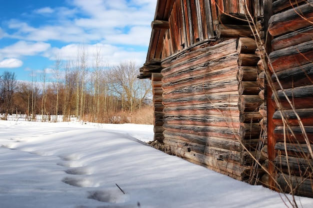 Casa de troncos pared paisaje invierno