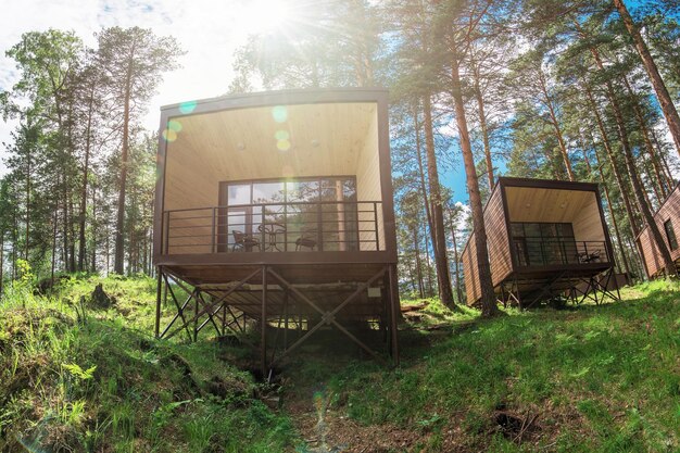 Casa u hotel con ventanas panorámicas en un bosque de pinos hermosa mañana de verano con luz solar naturaleza