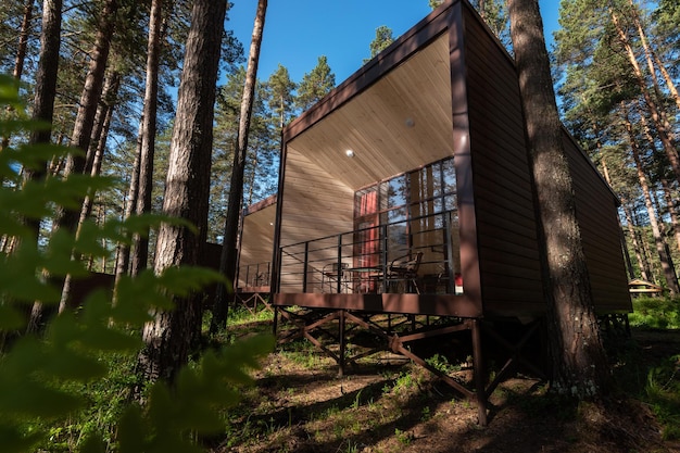 Casa u hotel con ventanas panorámicas en un bosque de pinos hermosa mañana de verano con luz solar naturaleza