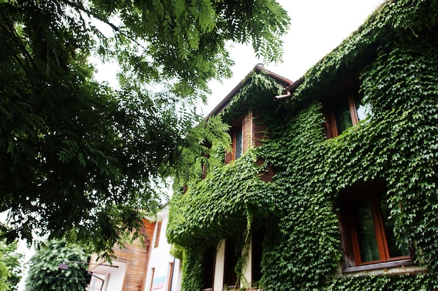 Casa con vegetación en el casco antiguo de Nesebar, Bulgaria.