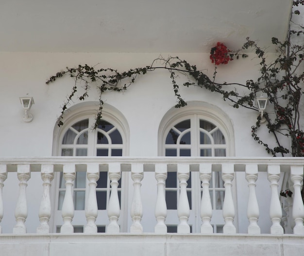 Casa y ventana con flores en Zakynthos