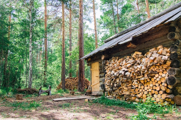 La casa de un viejo cazador solitario y un montón de leña cerca en un claro del bosque en un bosque siberiano
