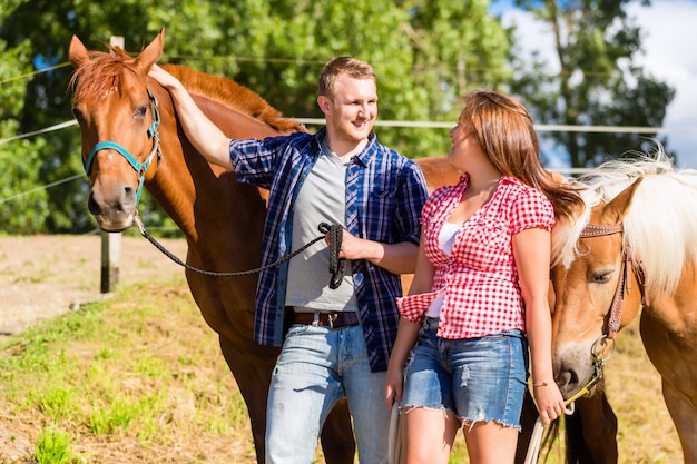 Casal acariciando cavalo no estábulo de pônei