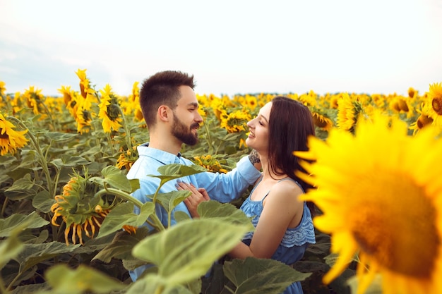 Casal adorável caminha pelo campo de girassol florescendo buquê amarelo ao ar livre nascer do sol natureza quente