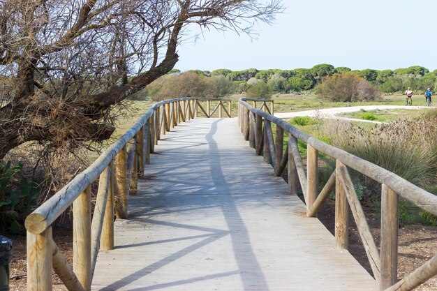 Casal andando de bicicleta na trilha natural com ponte de madeira em primeiro plano