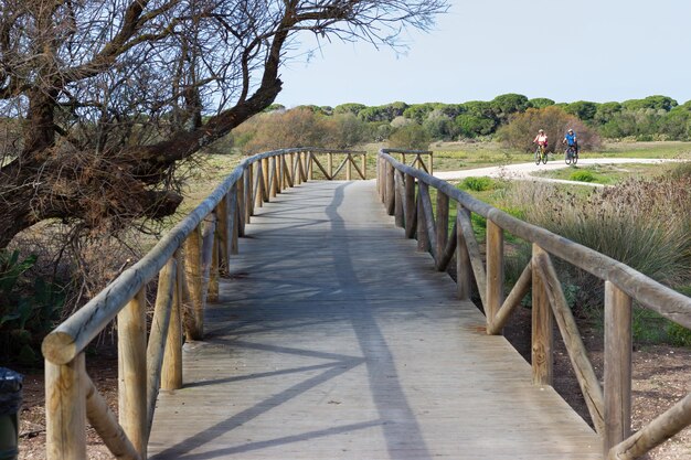 Casal andando de bicicleta na trilha natural com ponte de madeira em primeiro plano