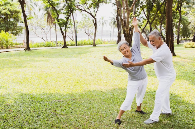 Casal asiático idoso pratica esportes e ensina tai chi no jardim pela manhã para uma boa saúde