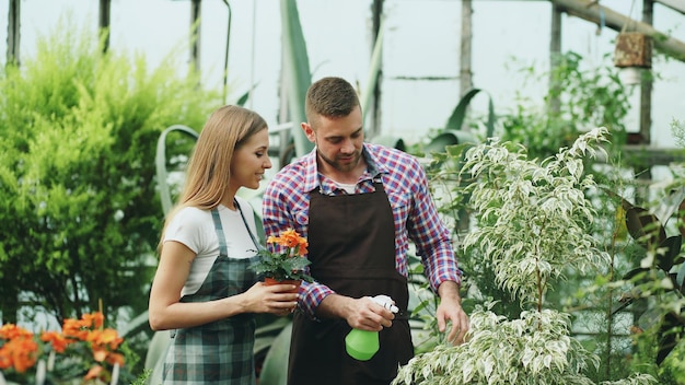 Casal atraente trabalha em estufa Jardineiro de homem em avental regando plantas e flores com pulverizador de jardim enquanto sua namorada fala com ele