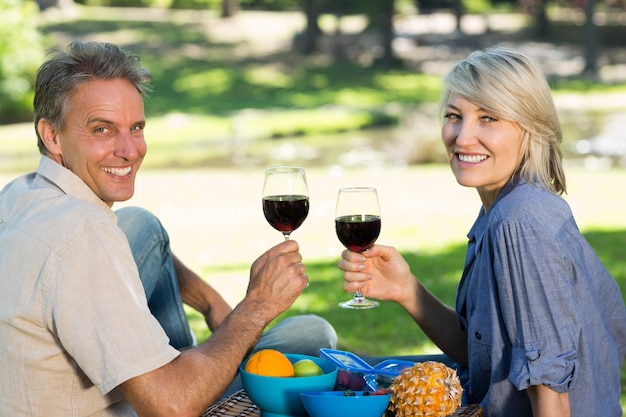 Casal brindando copos de vinho no parque