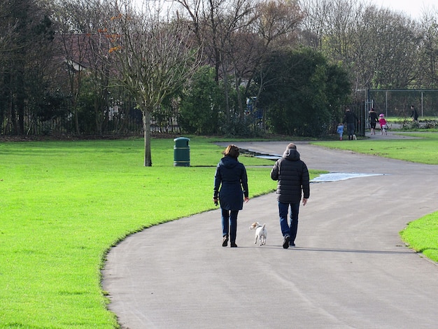 Foto casal caminhando com um cachorro pequeno