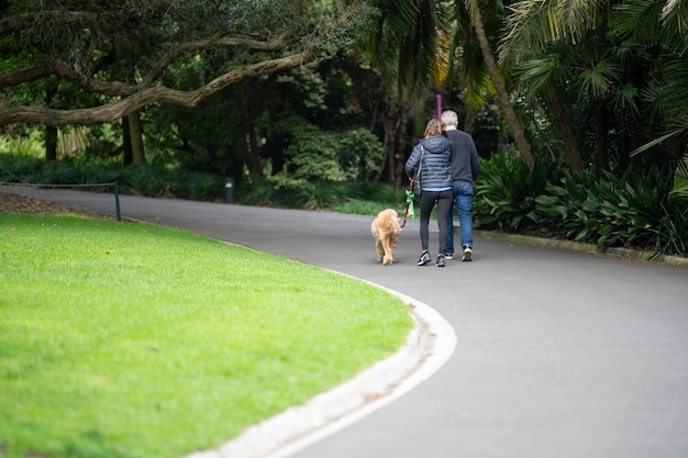 Casal caminhando em um jardim, homem e mulher caminham na natureza sob árvores cercadas por plantas familiares juntas em um parque na primavera