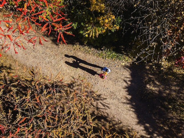 Casal caminhando em uma floresta no outono