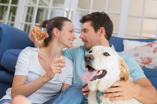 Foto casal com copos de vinho e cachorrinho na sala de estar